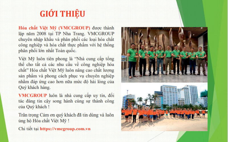 giới thiệu VMC GROUP