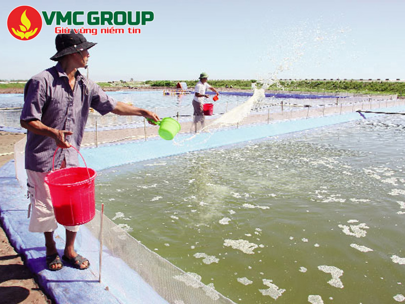 Cách sử dụng Chlorine trong thủy sản hiệu quả