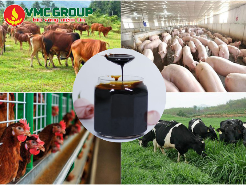 Hướng dẫn sử dụng mật rỉ đường