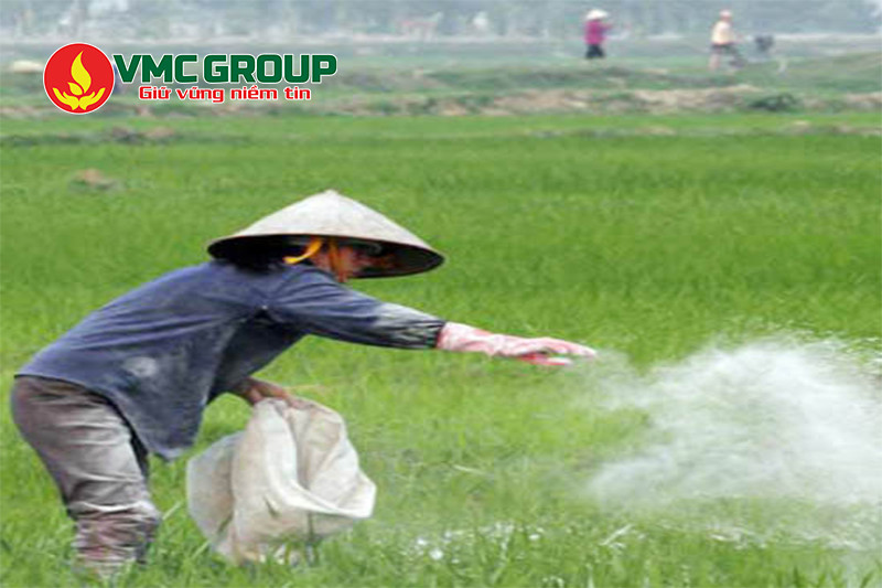 Tác dụng của vôi bột trong nông nghiệp