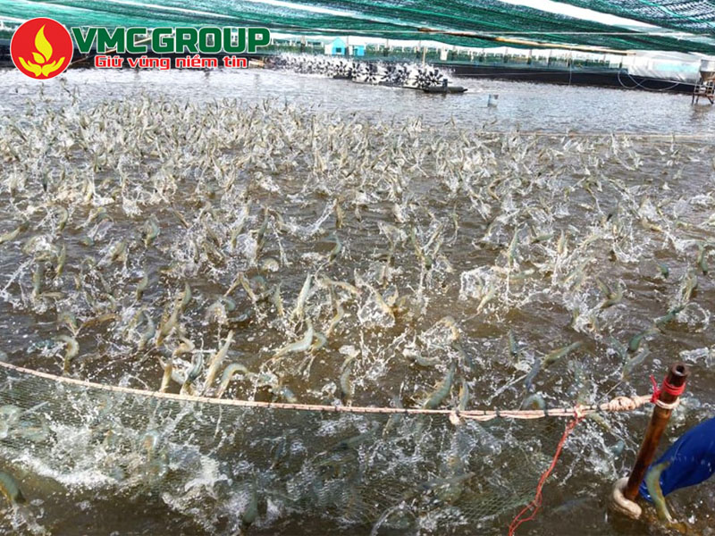 Những ứng dụng của Bicar Z Thổ Nhĩ Kỳ