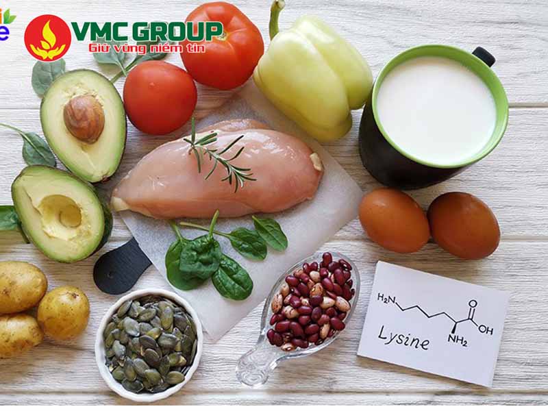 Công dụng của Lysine đối với sức khỏe