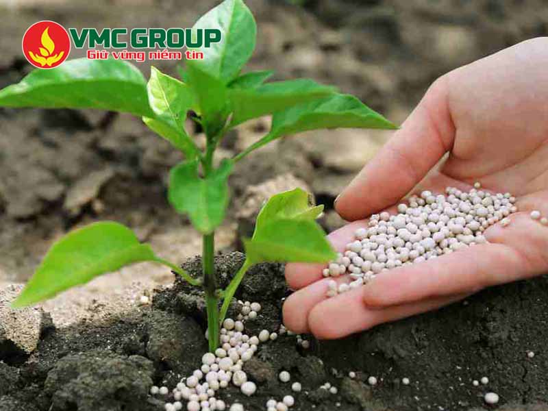 Công dụng của phân Diammonium Phosphate