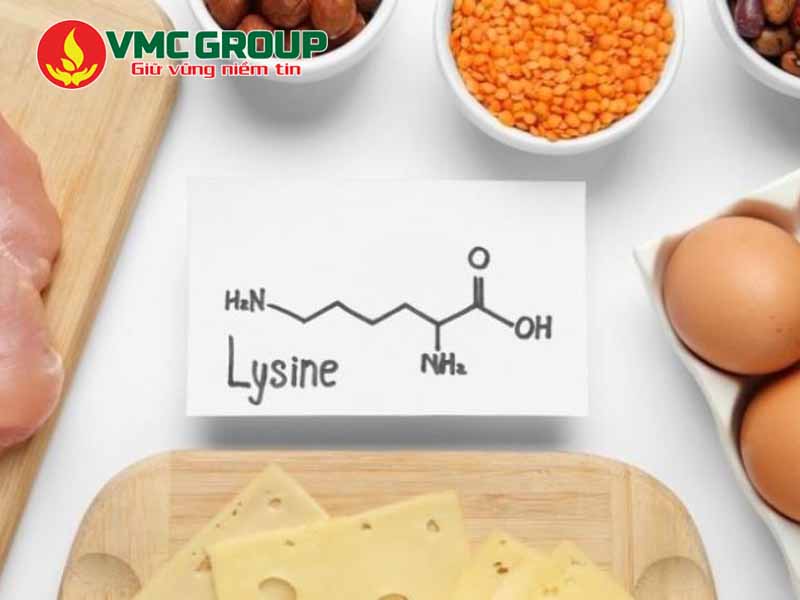 Lysine là gì
