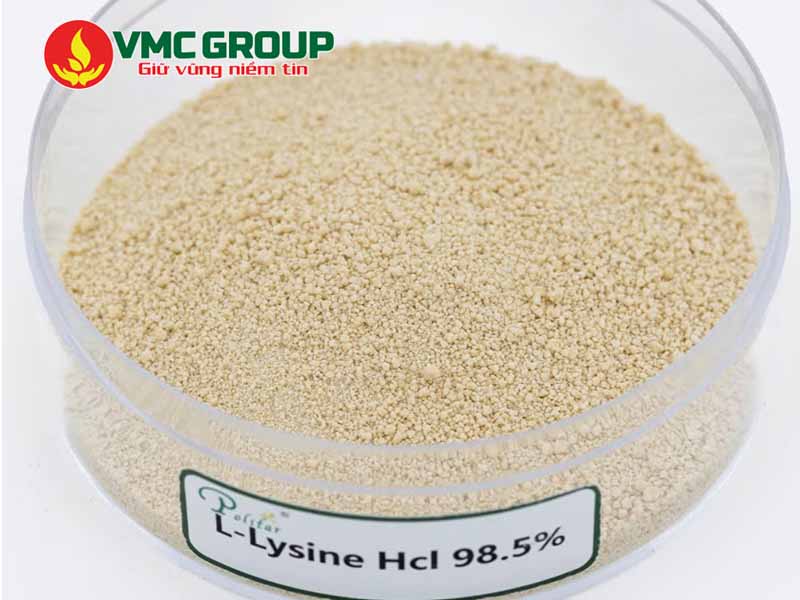 Sử dụng Lysine như thế nào để hiệu quả