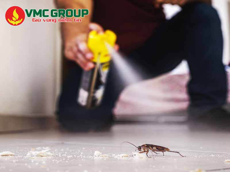 Bột Borax có tác dụng diệt côn trùng