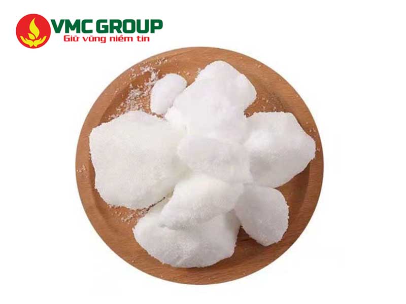 Bột long não Camphor là gì