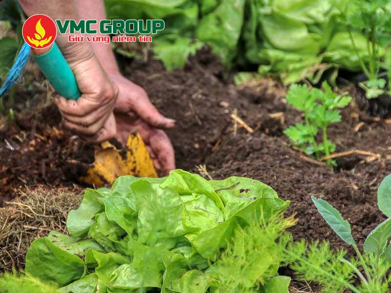 Công dụng của Azomite trong đời sống