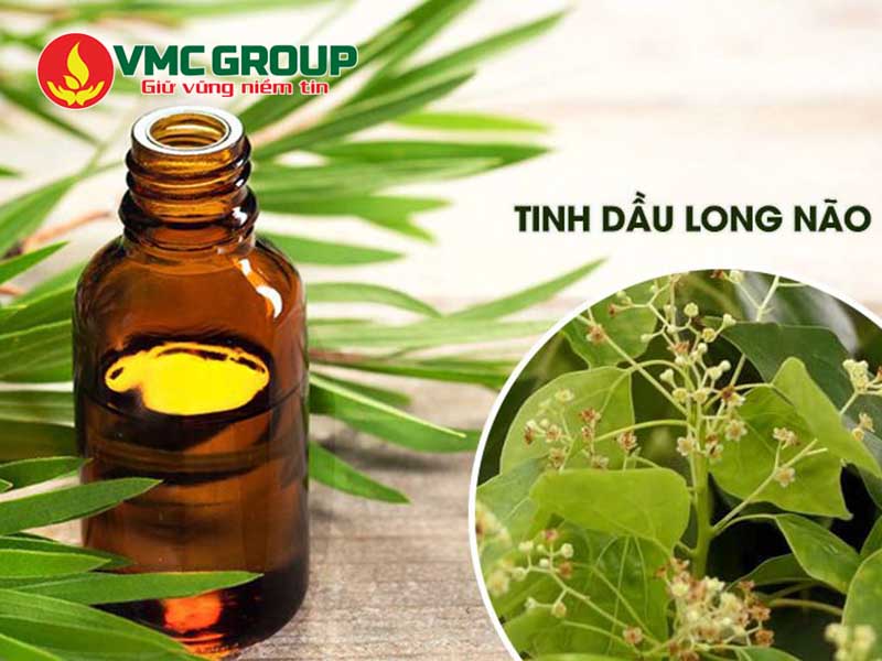 Đặc điểm nổi bật của Camphor