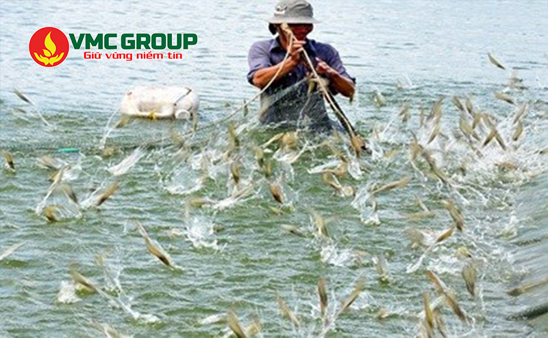 oxy Bột dùng trong thủy sản để cung cấp oxy hòa tan cho tôm cá