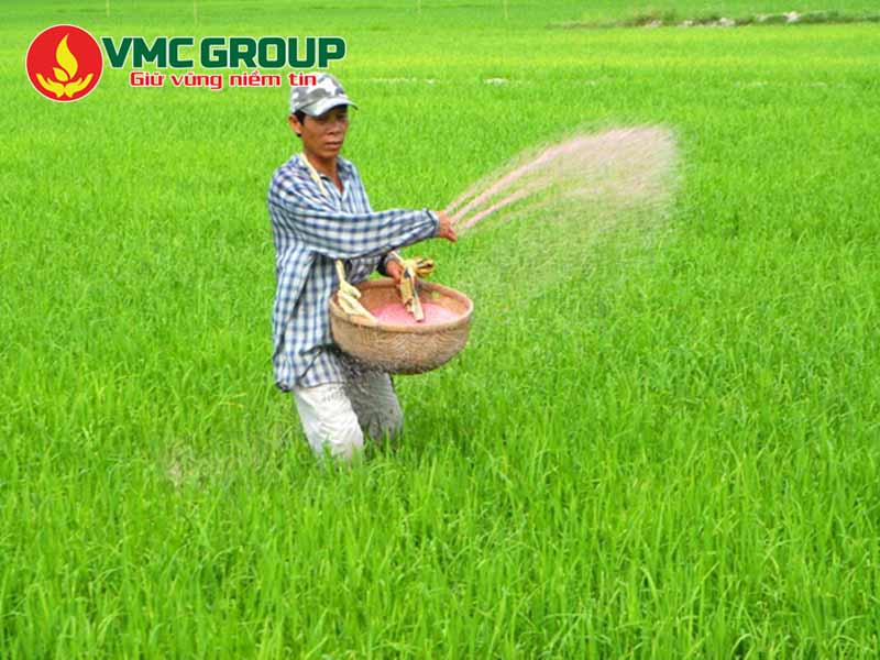 Manganous Dihydrogen Phosphate có ứng dụng trong sản xuất phân bón