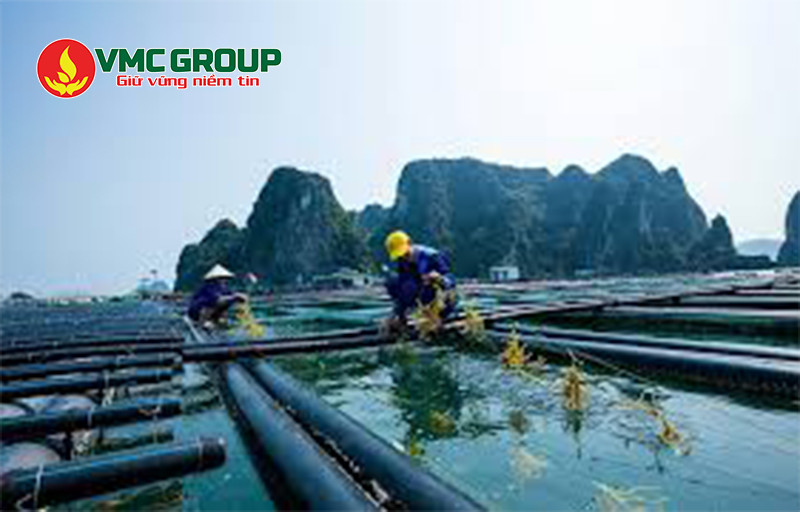 BKC được dùng trong xử lý nước thủy sản