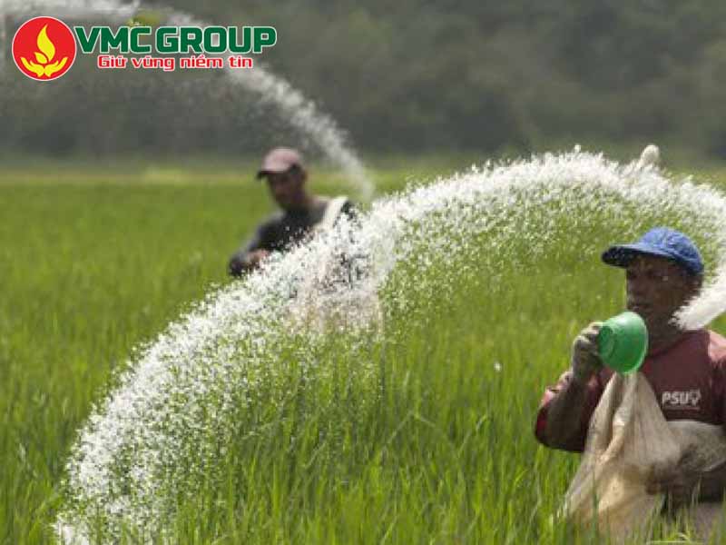 Những ứng dụng của đạm SA- Amoni Sunfat