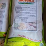 557213382_796300489779092_1269325976926166256_n 557213382_796300489779092_1269325976926166256_n