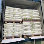 495300447_678746794867796_1639749450937488605_n 495300447_678746794867796_1639749450937488605_n